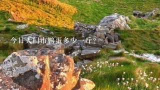 今日天门市鸭蛋多少1斤? 今日天门市鸭蛋多少1斤?