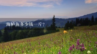 海鲈鱼多少钱1斤? 海鲈鱼多少钱1斤?