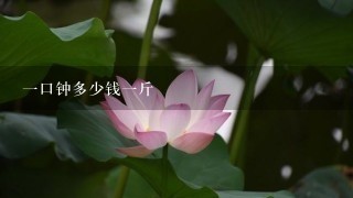 1口钟多少钱1斤 1口钟多少钱1斤