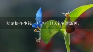 大龙虾多少钱1斤,1只3斤多的那种。 大龙虾多少钱1斤,1只3斤多的那种。