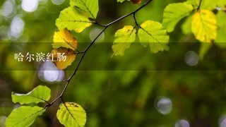 哈尔滨红肠 哈尔滨红肠
