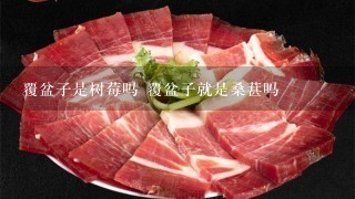 覆盆子是树莓吗 覆盆子就是桑葚吗 覆盆子是树莓吗 覆盆子就是桑葚吗
