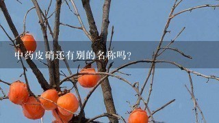 中药皮硝还有别的名称吗? 中药皮硝还有别的名称吗?