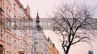 羊鞭与羊肉羊蛋哪个贵 羊鞭与羊肉羊蛋哪个贵