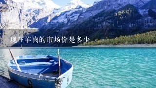现在羊肉的市场价是多少 现在羊肉的市场价是多少
