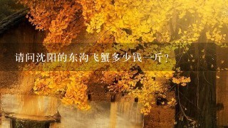 请问沈阳的东沟飞蟹多少钱1斤? 请问沈阳的东沟飞蟹多少钱1斤?