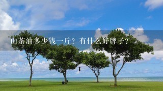山茶油多少钱1斤?有什么好牌子? 山茶油多少钱1斤?有什么好牌子?