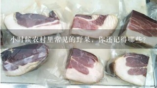 小时候农村里常见的野果,你还记得哪些? 小时候农村里常见的野果,你还记得哪些?