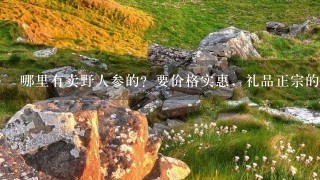 哪里有卖野人参的?要价格实惠,礼品正宗的哦,大家积极给点意见啦 哪里有卖野人参的?要价格实惠,礼品正宗的哦,大家积极给点意见啦