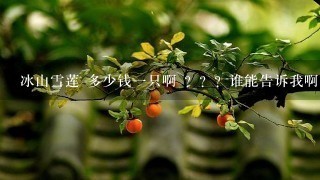 冰山雪莲 多少钱1只啊 ???谁能告诉我啊? 冰山雪莲 多少钱1只啊 ???谁能告诉我啊?