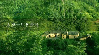 太岁1斤多少钱 太岁1斤多少钱