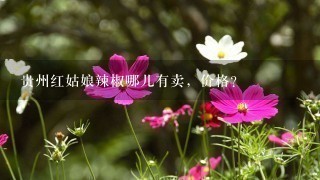 贵州红姑娘辣椒哪儿有卖,价格? 贵州红姑娘辣椒哪儿有卖,价格?