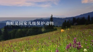 南蛇是国家几级保护动物 南蛇是国家几级保护动物