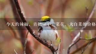 今天的辣椒、青把茄子,菜花、大自菜的价格是多少钱 今天的辣椒、青把茄子,菜花、大自菜的价格是多少钱