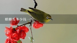 麒麟瓜多少钱1斤 麒麟瓜多少钱1斤