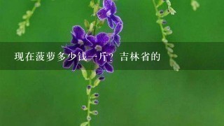 现在菠萝多少钱1斤?吉林省的 现在菠萝多少钱1斤?吉林省的