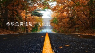 希鲮鱼贵还是3文鱼贵 希鲮鱼贵还是3文鱼贵