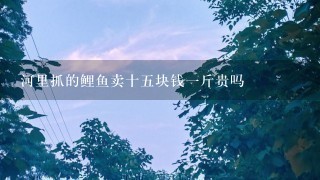 河里抓的鲤鱼卖十5块钱1斤贵吗 河里抓的鲤鱼卖十5块钱1斤贵吗