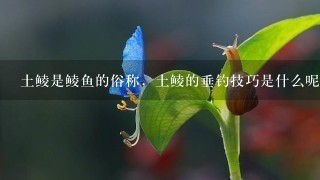 土鲮是鲮鱼的俗称,土鲮的垂钓技巧是什么呢? 土鲮是鲮鱼的俗称,土鲮的垂钓技巧是什么呢?