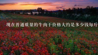现在普通质量的牛肉干价格大约是多少钱每斤? 现在普通质量的牛肉干价格大约是多少钱每斤?