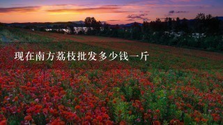 现在南方荔枝批发多少钱1斤 现在南方荔枝批发多少钱1斤