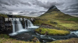 湿的天麻多少1斤 湿的天麻多少1斤