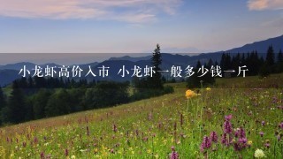 小龙虾高价入市 小龙虾1般多少钱1斤 小龙虾高价入市 小龙虾1般多少钱1斤