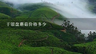 干银盘蘑菇价格多少 干银盘蘑菇价格多少