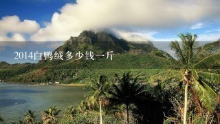 2014白鸭绒多少钱1斤 2014白鸭绒多少钱1斤
