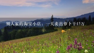 别人家的淘宝小店:1天卖出萝卜干15万 别人家的淘宝小店:1天卖出萝卜干15万