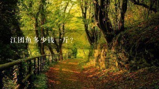 江团鱼多少钱1斤? 江团鱼多少钱1斤?