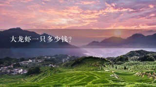 大龙虾1只多少钱? 大龙虾1只多少钱?