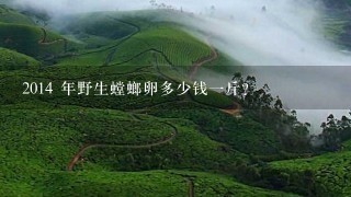 2014 年野生螳螂卵多少钱1斤? 2014 年野生螳螂卵多少钱1斤?