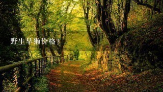 野生旱獭价格? 野生旱獭价格?