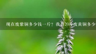 现在废紫铜多少钱1斤?我有20斤废黄铜多少钱1斤? 现在废紫铜多少钱1斤?我有20斤废黄铜多少钱1斤?