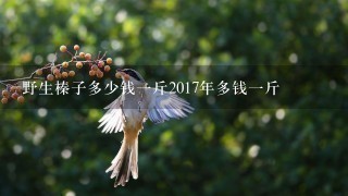 野生榛子多少钱1斤2017年多钱1斤 野生榛子多少钱1斤2017年多钱1斤