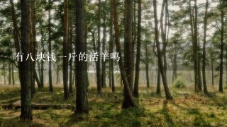 有8块钱1斤的活羊吗 有8块钱1斤的活羊吗