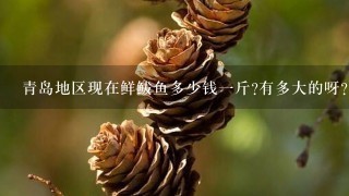青岛地区现在鲜鲅鱼多少钱1斤?有多大的呀? 青岛地区现在鲜鲅鱼多少钱1斤?有多大的呀?