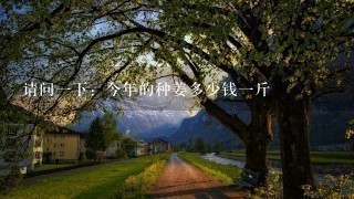 请问1下:今年的种姜多少钱1斤 请问1下:今年的种姜多少钱1斤