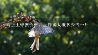 真正土蜂蜜价格,土蜂蜜大概多少钱1斤 真正土蜂蜜价格,土蜂蜜大概多少钱1斤