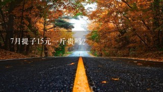 7月提子15元1斤贵吗? 7月提子15元1斤贵吗?
