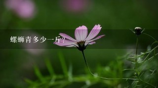 螺蛳青多少1斤? 螺蛳青多少1斤?