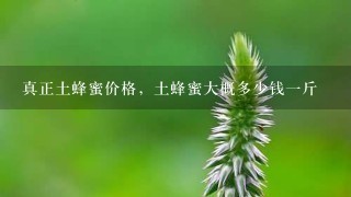 真正土蜂蜜价格,土蜂蜜大概多少钱1斤 真正土蜂蜜价格,土蜂蜜大概多少钱1斤