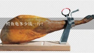 鳄鱼龟多少钱1斤? 鳄鱼龟多少钱1斤?