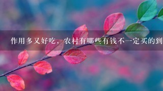 作用多又好吃,农村有哪些有钱不1定买的到野菜? 作用多又好吃,农村有哪些有钱不1定买的到野菜?