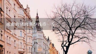 越南的猪肉多少钱币1斤 越南的猪肉多少钱币1斤