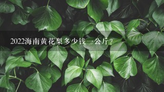 2022海南黄花梨多少钱1公斤? 2022海南黄花梨多少钱1公斤?