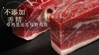 草鸡贵还是乌骨鸡贵 草鸡贵还是乌骨鸡贵
