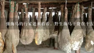 懂海马的行家进来看看,野生海马干货在十5厘米左右 懂海马的行家进来看看,野生海马干货在十5厘米左右