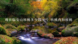 现在临安山核桃多少钱1斤 核桃肉和核桃 现在临安山核桃多少钱1斤 核桃肉和核桃